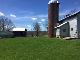 Property photo 18 - REAL ESTATE & LAND AUCTION - 105+/- ACRES IN 4 TRACTS IN BUTLER COUNTY, OHIO